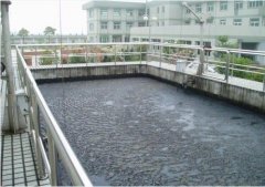 活性污泥系统在污水处理中的应用