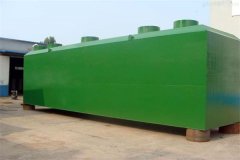 活性污泥的工作原理，驯化过程